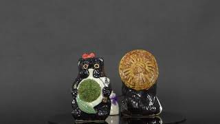 夫婦苔たぬきの盆栽【盆栽妙】