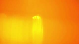 Background animated light oranye