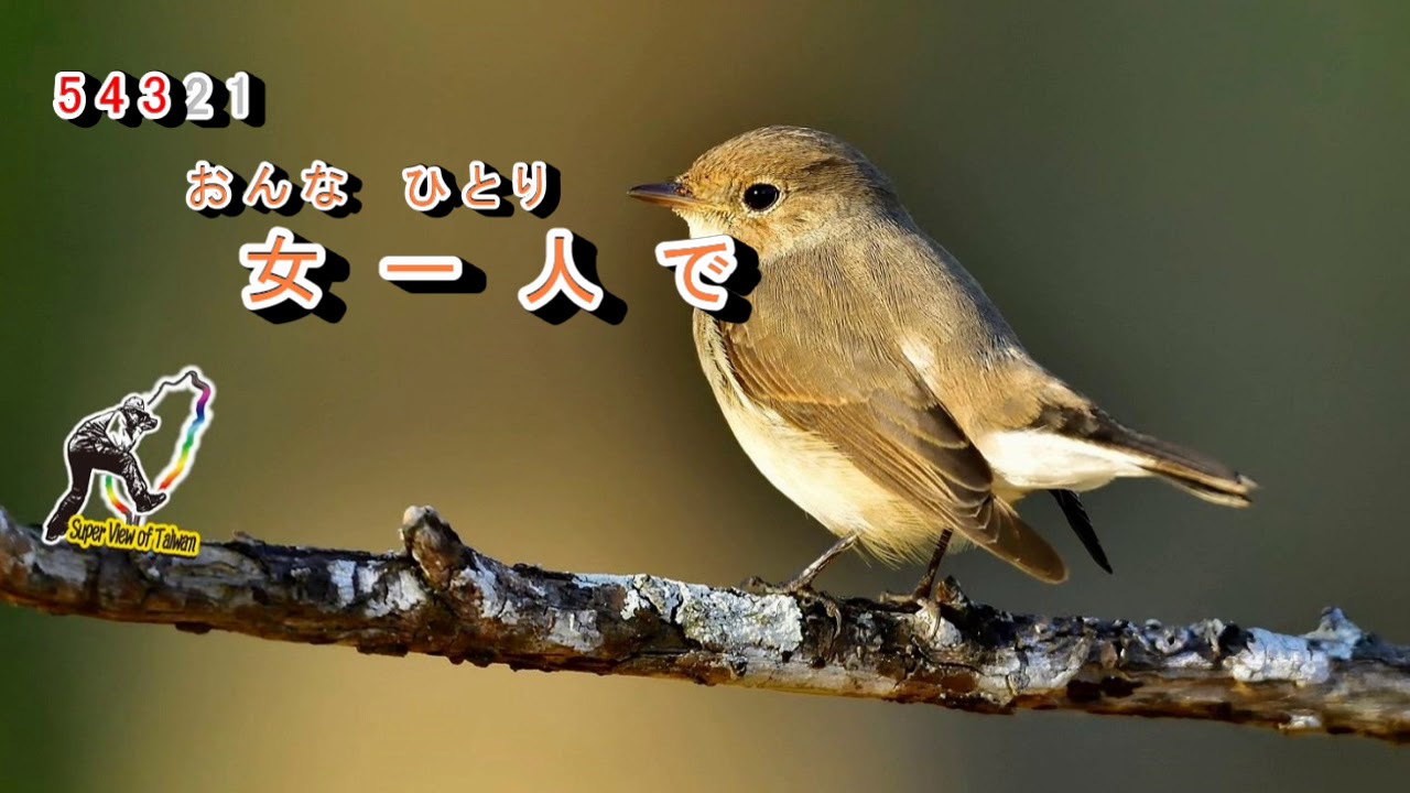 芸道一代 字義版