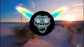 DJ WZRD - Ay Papi (Remix)