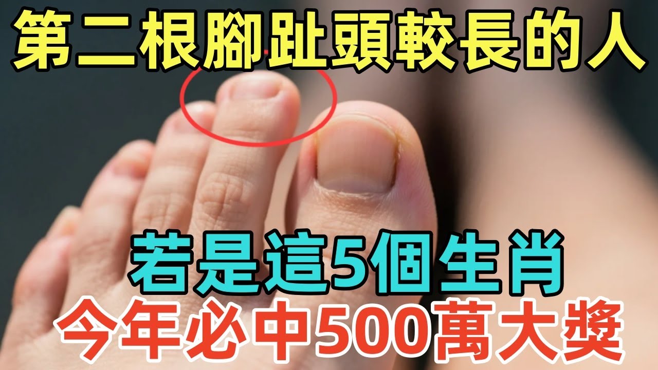 第二根腳趾頭較長的人，若是這5個生肖，今年必中500萬大獎！#佛淨 #佛學 #佛陀 #佛法 #佛教 #修行