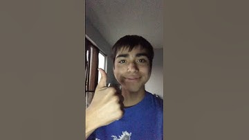 Day 81 of reading the bee movie script