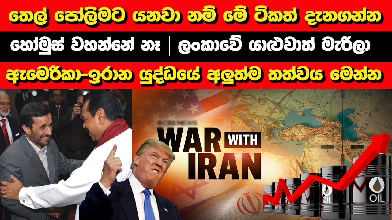 සති හතරකින් යුද්ධය ඉවරයි | හෝමුස් වහන්නේ නෑ | ලංකාවේ යාළුවාත් මැරිලා | Nayana Tharanga Gamage