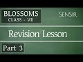 Class 7 - Blossoms (English) - Revision Lesson - Part 3