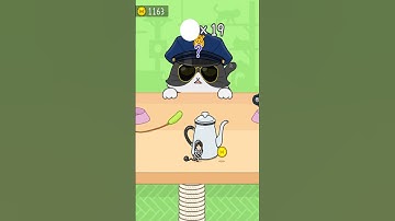 hide and seek cat escape infinity 24