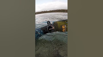 The BEST Dive Watch on the market - The Garmin Descent MK3i #garmin #garmindescentmk3i