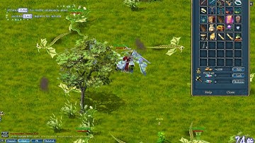 Conquer Online Bot AutoLoot Test