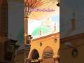 Amiron Garibon Ko tune Bulaya Jise Tune Chaha Ghar Apna Dikhaya | Madina Sharif Naat Sharif #shorts