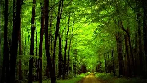 Aron Wright - In the Woods  OST