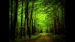 Aron Wright - In the Woods «Кухня» OST chords