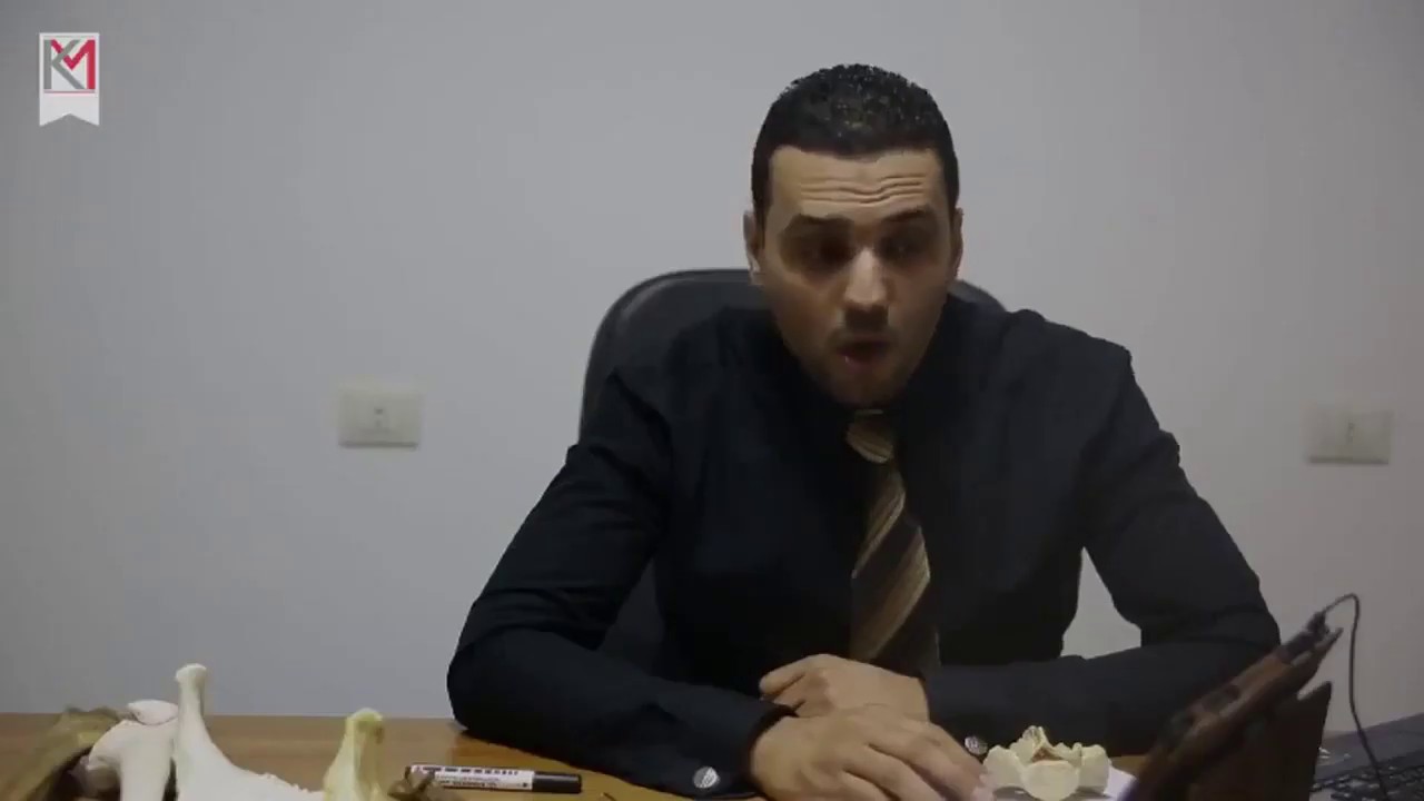 Bones of the Pelvis Practical Review د. خالد ميلاد