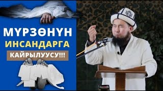 Мүрзѳнүн инсандарга кайрылуусу!!! | Осмон уулу Максат ажы