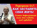 Торсунов О.Г. Как заставить себя жить. Самая дефицитная сила для победы над судьбой. Учимся жить.