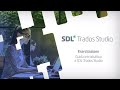 Come tradurre un documento utilizzando il software di traduzione sdl trados studio 2019