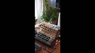 DFAM EXPERIMENTAL PT.2