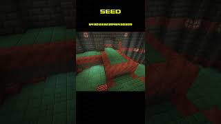 Майнкрафт СИДЫ Джава 1.21 #shorts #seed #minecraft