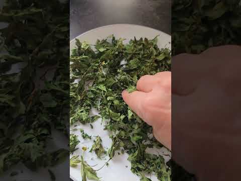 سبزیتو سریع تو ۲۰ دقیقه خشگش کن دما ۱۸۰ زمان ۲۰ دقیقه چه ترفند خفنی آموزش ترفند آشپزی