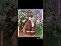 TikTok Mái Tóc Dài Xinh Xinh Của 12 Cung Hoàng Đạo