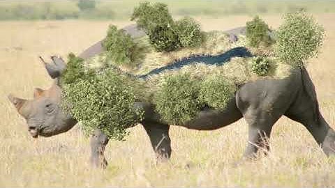 Lockdown tracking to Cinema 4D via Alembic Exporter