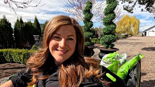 Two Garden Experiments: Grape Trees & Faux Boxwoods! 🤓🍇🪴 // Garden Answer by Garden Answer 170,164 views 3 weeks ago 22 minutes