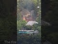 Japanese Eternal Flame Temple hall burns down | DW News