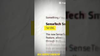 Best Support Character