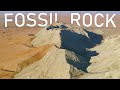 Hiking Fossil Rock in Dubai Desert | United Arab Emirates