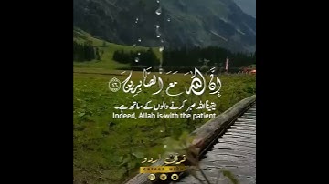 🕯️واصبروا إن الله مع الصابرين✨ سورة الأنفال:٤٦|رعد الكردي|Surah Al Anfaal:46|Raad al Kurdy
