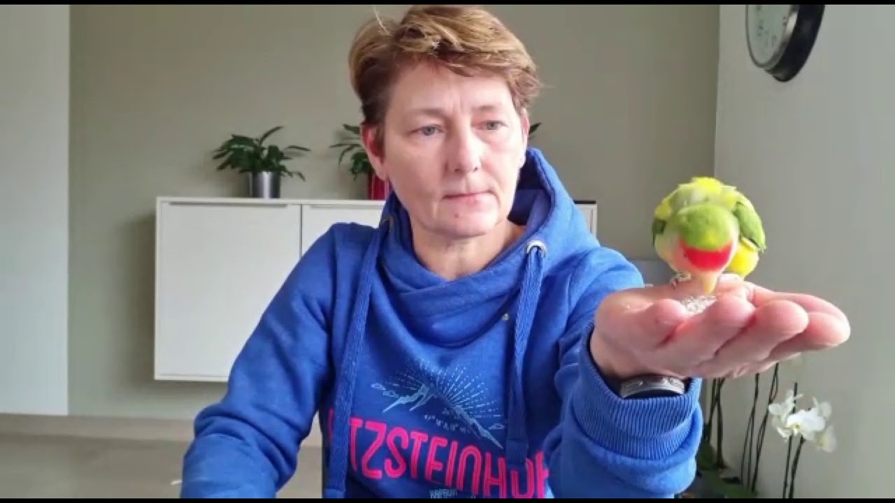 Leren over vogels met juf Linda