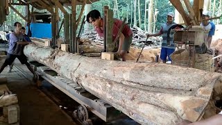 The process of sawing 20 feet of teak wood to make joglo house frame beams 