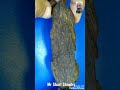 Petrified Wood By Sharl Shawky الاخشاب المتحجرة للاستاذ شارل شوقى 