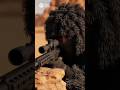 bio story ghillie suit war