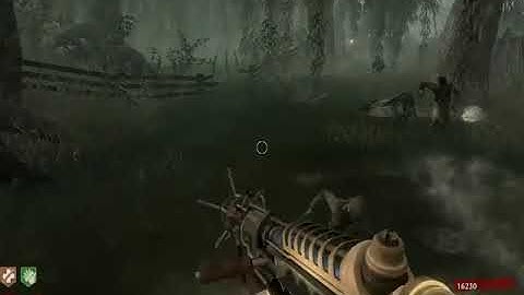 Cod waw shi no numa is glitchy