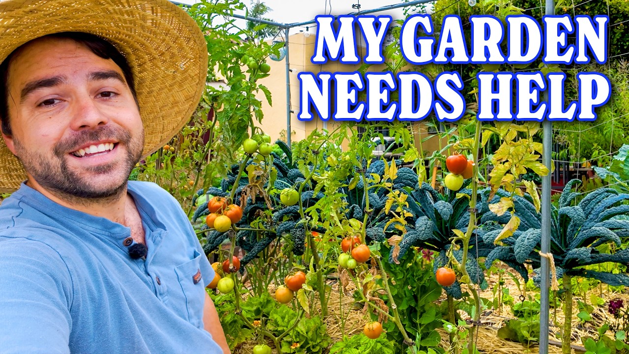 2 Hours of Gardening in 26 Minutes