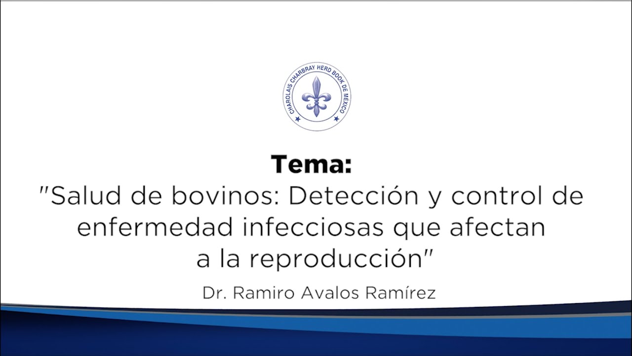 Salud de bovinos: Detección y control de enfermedad infecciosas que afectan a la reproducción
