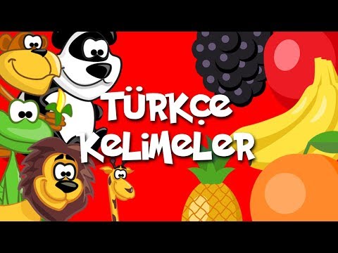 Kids & Fun Türkçe Kelimeler - Bölüm 1