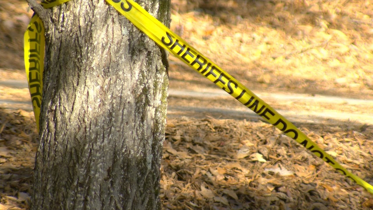 Man accused of killing woman by setting her on fire ordered to undergo ...