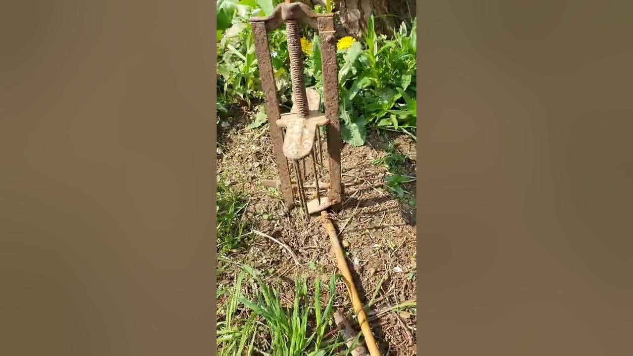 Antique Mole trap, how it works! YouTube