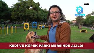 Kedi Ve Köpek Parkı Mersinde Açıldı Ç Ürkiye