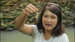 Spot Sungai Kecil Bak Tambak Udang