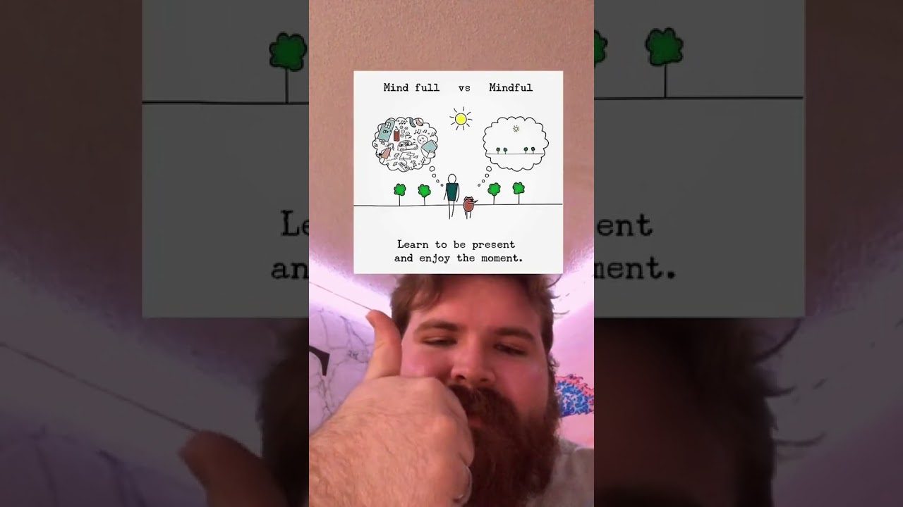 enjoy the little detours in life via drewthompsonlol on tiktok