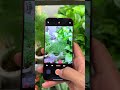 OPPO Find X9 Camera Review 🔥 Best Camera Phone of 2026?