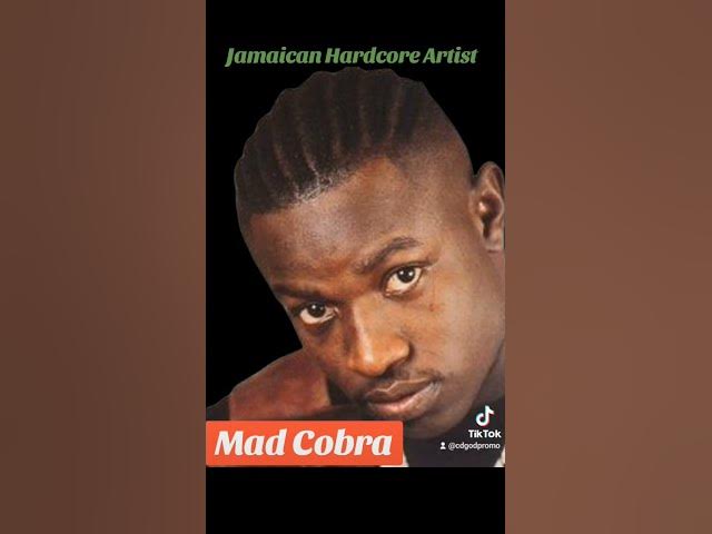 Jamaican Hardcore Artist, Mad Cobra, Flex, #madcobra #hits #reggae #dancehall #loversrockreggae
