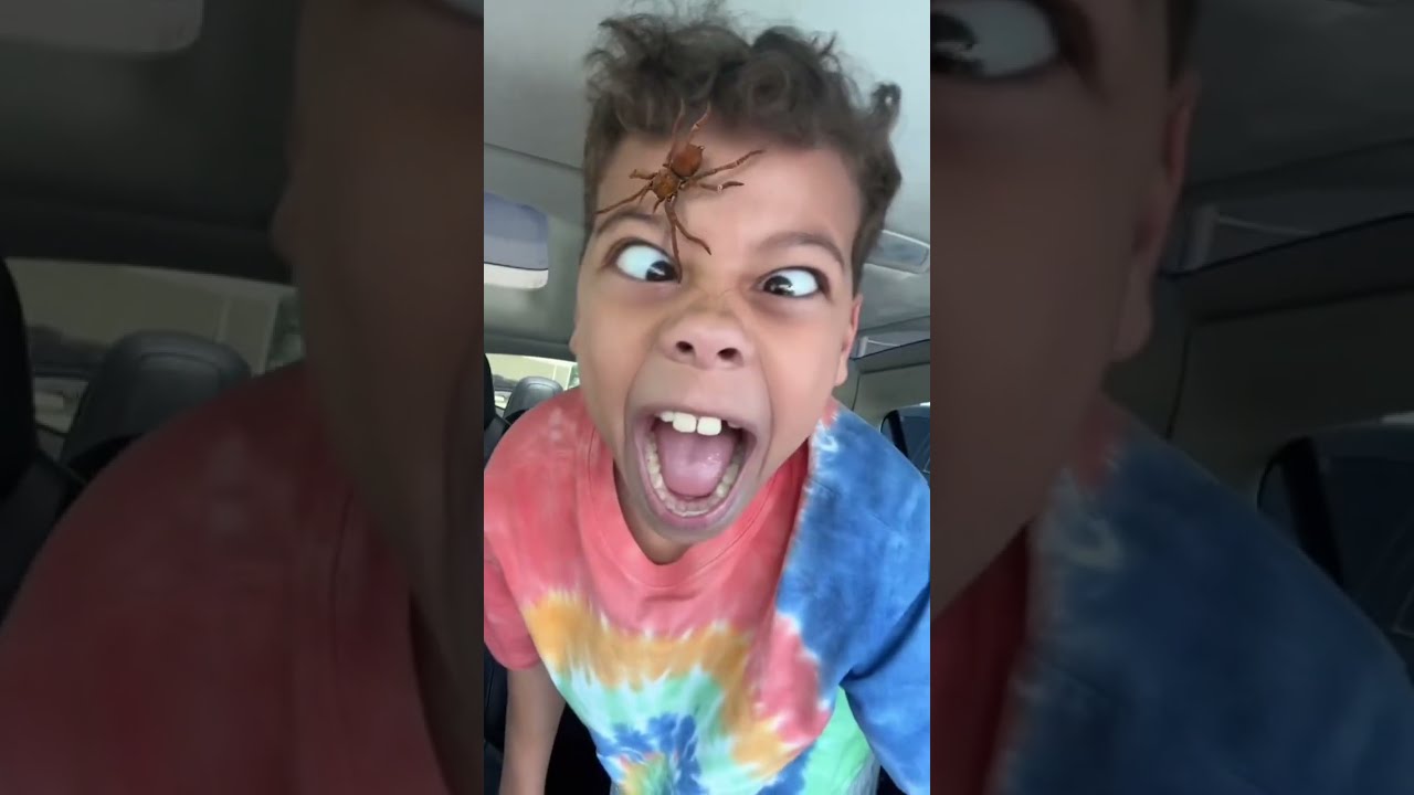 SPIDER On FACE PRANK 
