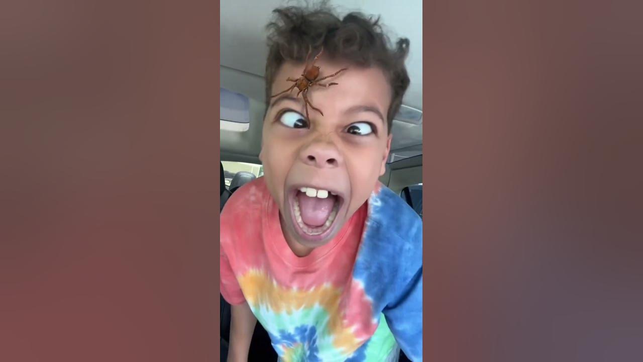 SPIDER On FACE PRANK!! π€£π€£ SPIDER On FACE PRANK!! π€£π€£
