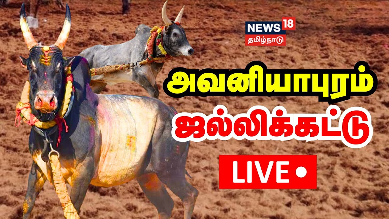 🔴Jallikattu LIVE | Avaniyapuram Jallikattu | Pongal 2025 | News18 Tamil Nadu | Tamil News | N18L