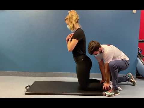 Nordic Hamstring Curl with partner