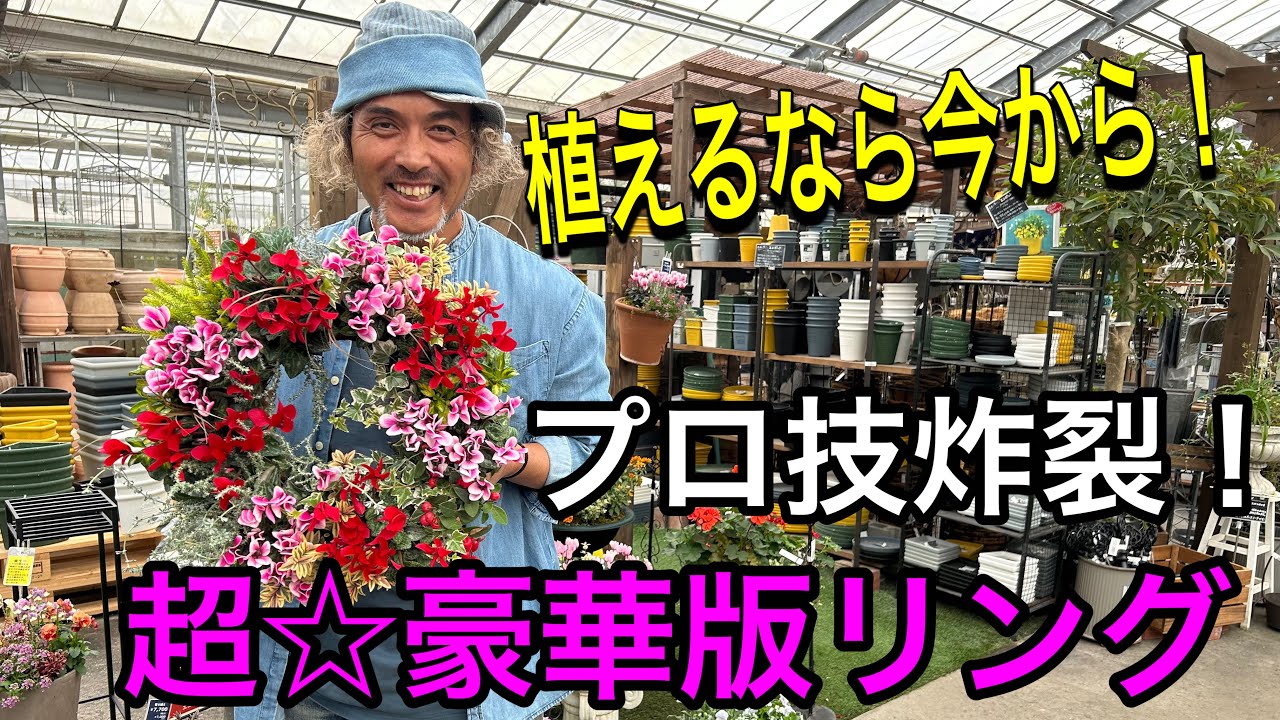 Mixed planting] This is the professional technique ☆ Special ring