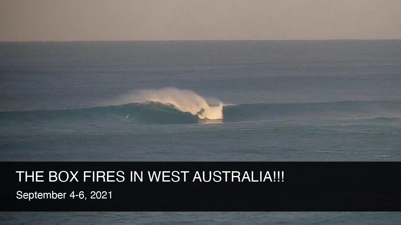 Clips