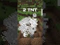 2 TNT EXPLOSİON ON MİNECRAFT
